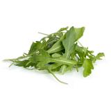 Rucola lose