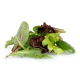 Salatmischung