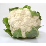 Blumenkohl gross