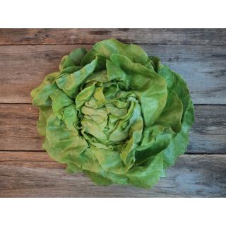 Salat, versch. Sorten