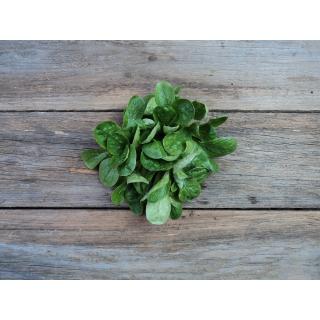 Feldsalat
