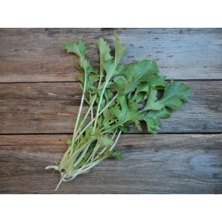 Stielmus (Rezepte unter www.biohof-gt.de/cms-ausgabe.php?site=Rezepte&s=stielmu)