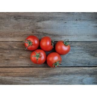 Strauchtomaten