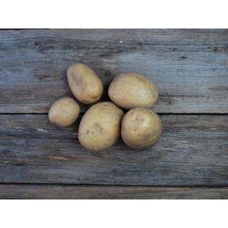 Kartoffeln vfk Neue Ernte