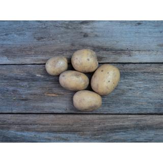 Kartoffeln fk Neue Ernte