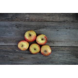 Apfel Corinna