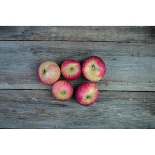 Äpfel Rote Sternrenette