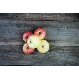 Apfel Dülmener Rose