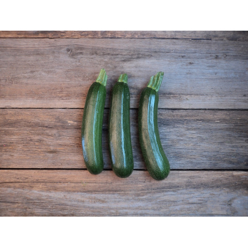 Zucchini