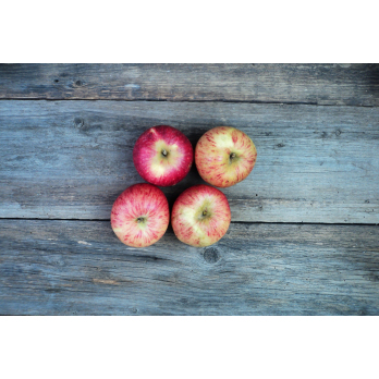 Apfel Notaris