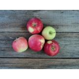 Apfel versch. Sorten